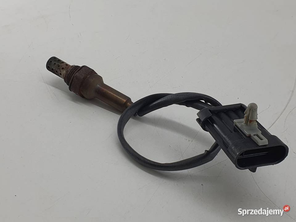 SONDA LAMBDA CECTEK 500 GLADIATOR QUADDRIFT Janowice sprzedam