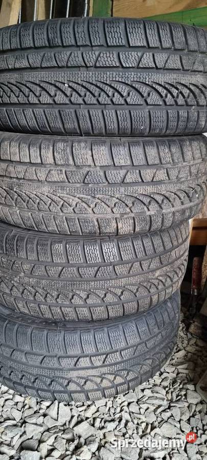 Opony zimowe Petlas 24545 R18 Samochodowe Turze Pole