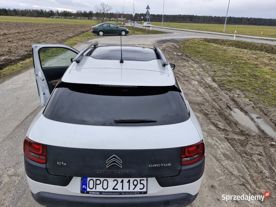 Citroen C4 Cactus benzyna