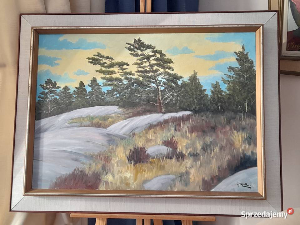 Thorpe Ake Olsson Szwedzka natura cenny obraz Iłża sprzedam