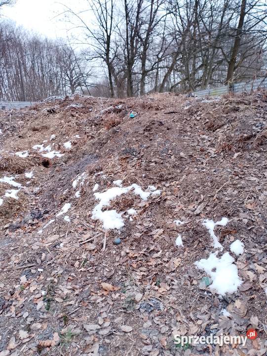 Próchnica Biomasa Zrębka Ziemia Kwaśna pod Ziemia Oświęcim