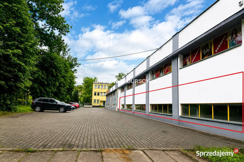 wynajmu lokalu 500 metrów Kraków sprzedam