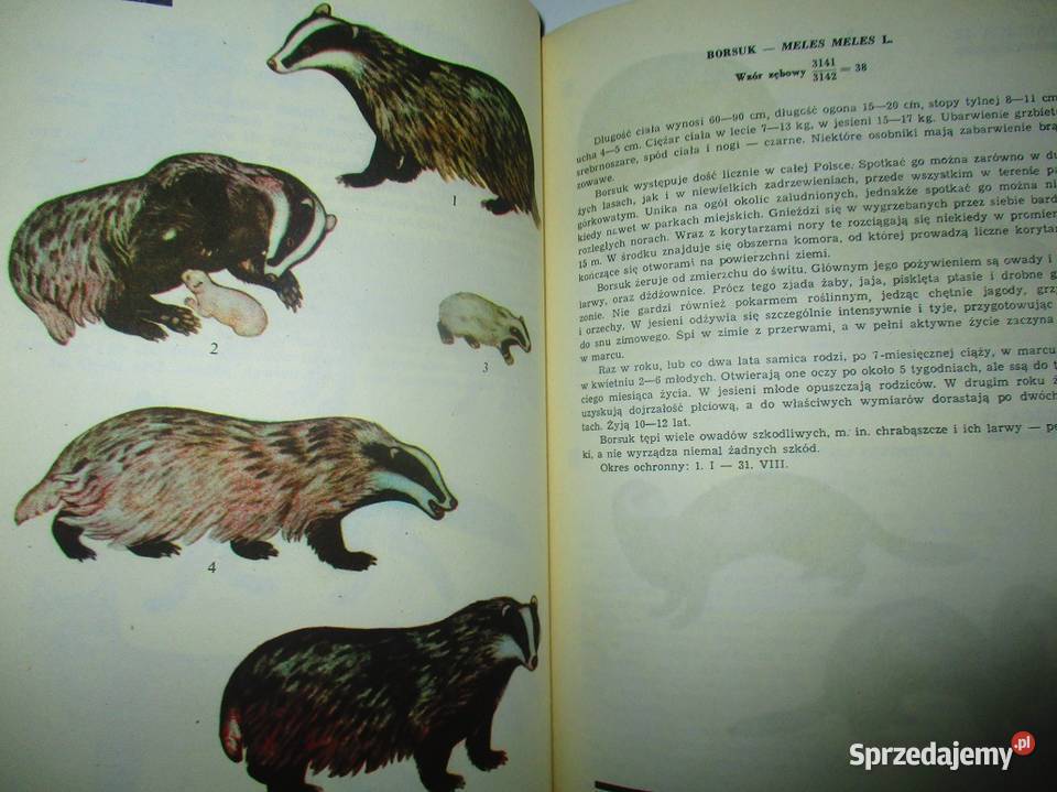 Fauna ptaki ssaki gadyrybyPuchalski Łódź sprzedam