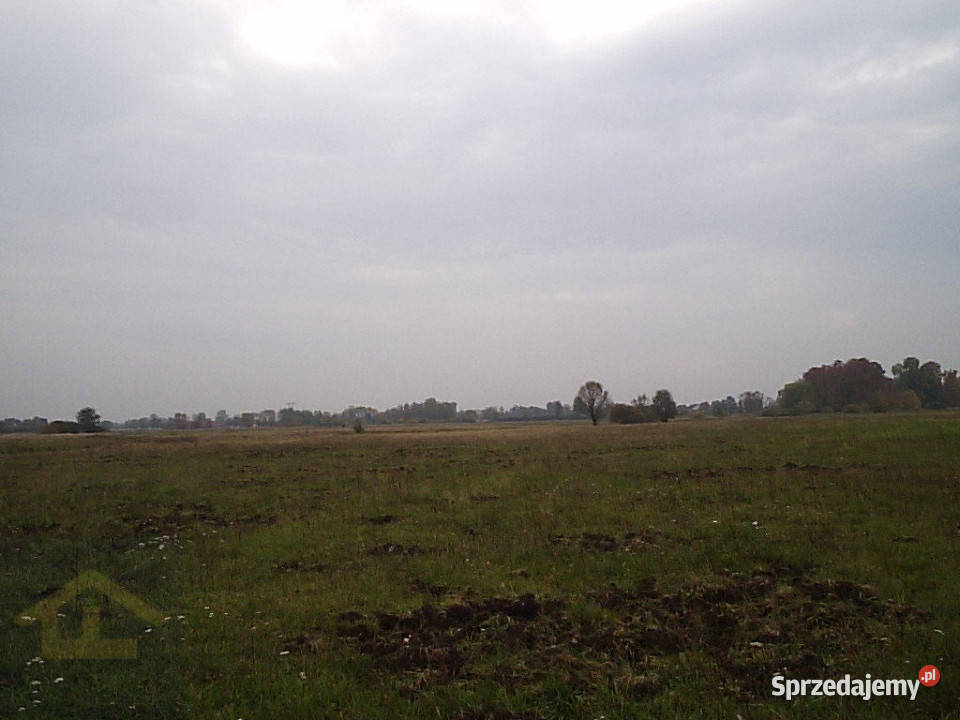 Działka w Całowaniu Całowanie