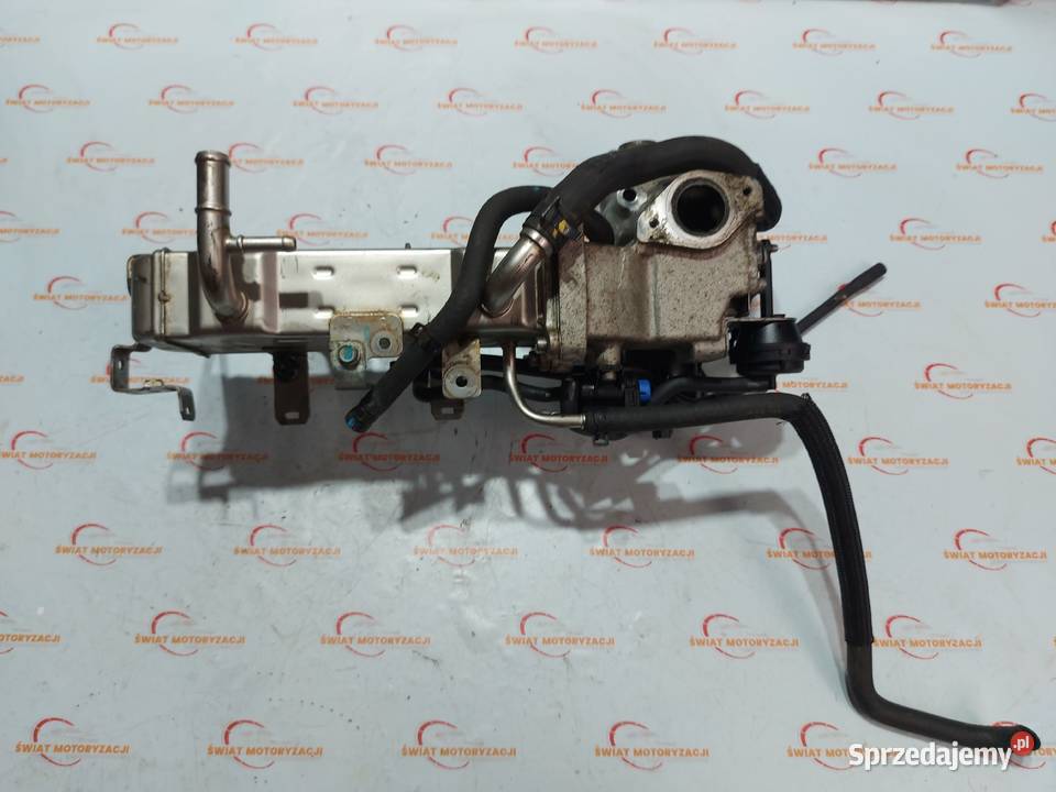 CAPTIVA 22 CDTI VCDI Z22D1 12r 4x4 184 osobowe Recyrkulacja spalin EGR Kielce