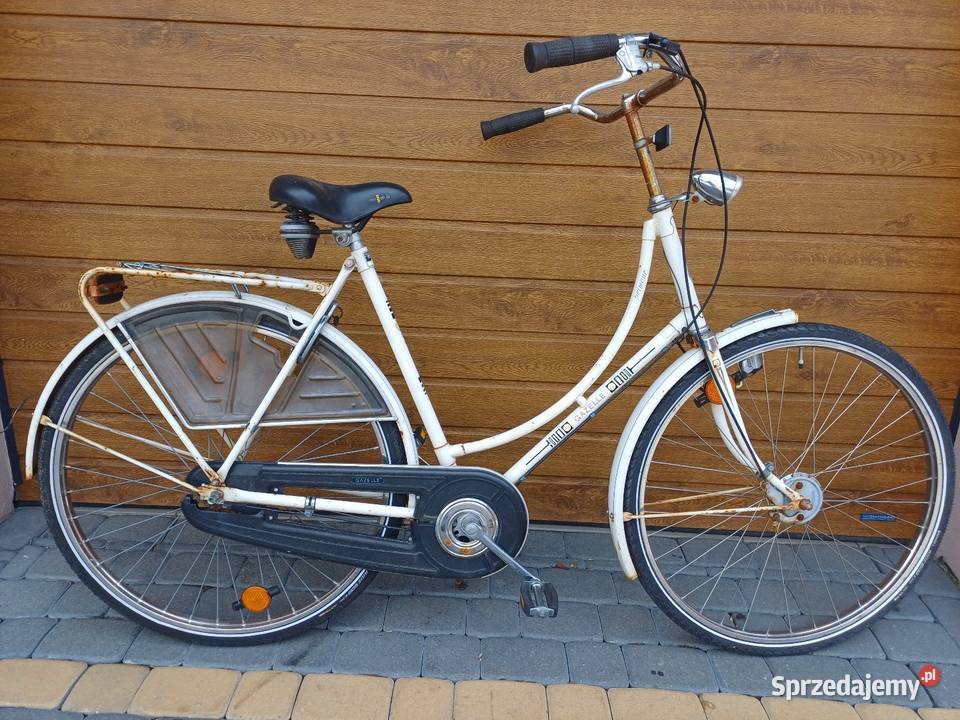 30 rowerów 100 sztukę Miejskie Płocicz