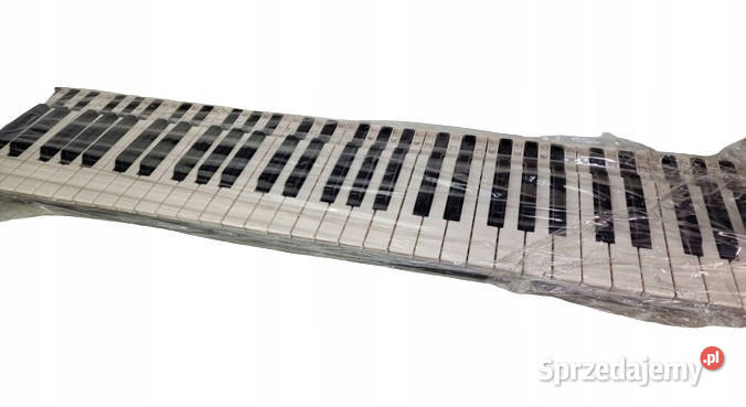 Korg M1 Wavestation 01w klawiatura Korg Międzychód sprzedam