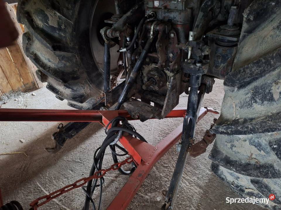 Zetor 8111 8011 Ursus C385 świętokrzyskie Sędziszów