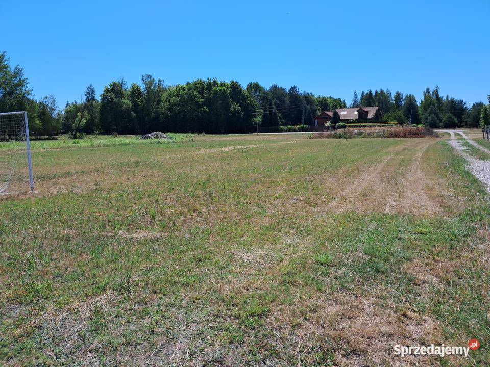 SPRZEDAM DZIAŁKI Biały Ług