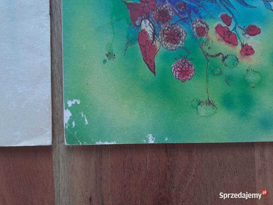 Komiks Dawid i Sandy Sidła Labirynt tom 3 i 5