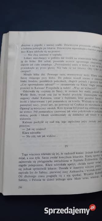 Isaac Bashevis Singer Spuścizna PIW 1988r Koźminek