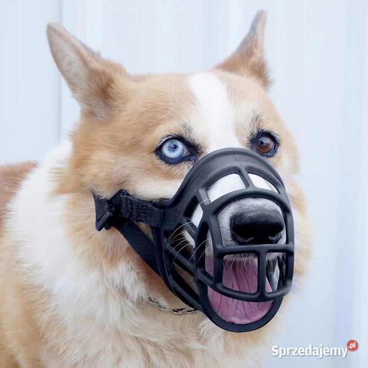 Kaganiec koszowy silikonowy psa rozmiar LXL mazowieckie Myszyniec sprzedam