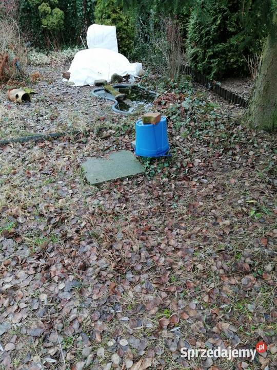 syndyk sprzeda udział w nieruchomości