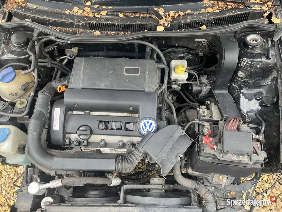 Volkswagen Golf 4 14 hatchback na części Brzeszcze