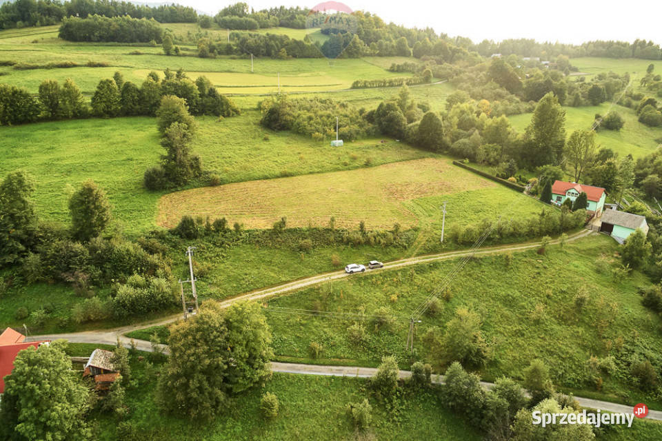 Działka budowlana 43 ary Ochotnica Dolna małopolskie sprzedam