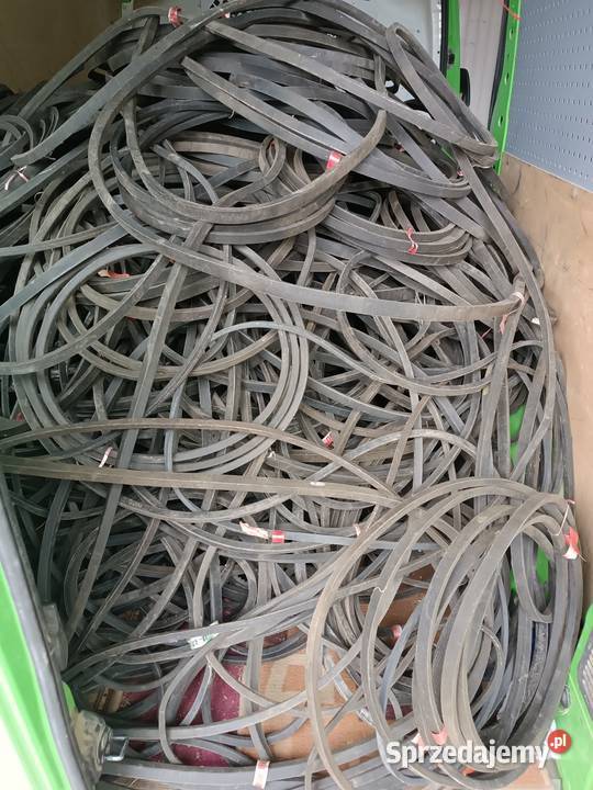 Paski klinowe z 1009 Pozostałe Wielmoża