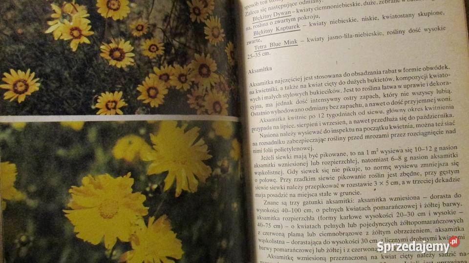 Działka moje hobby działka hobby uprawa ogród łódzkie