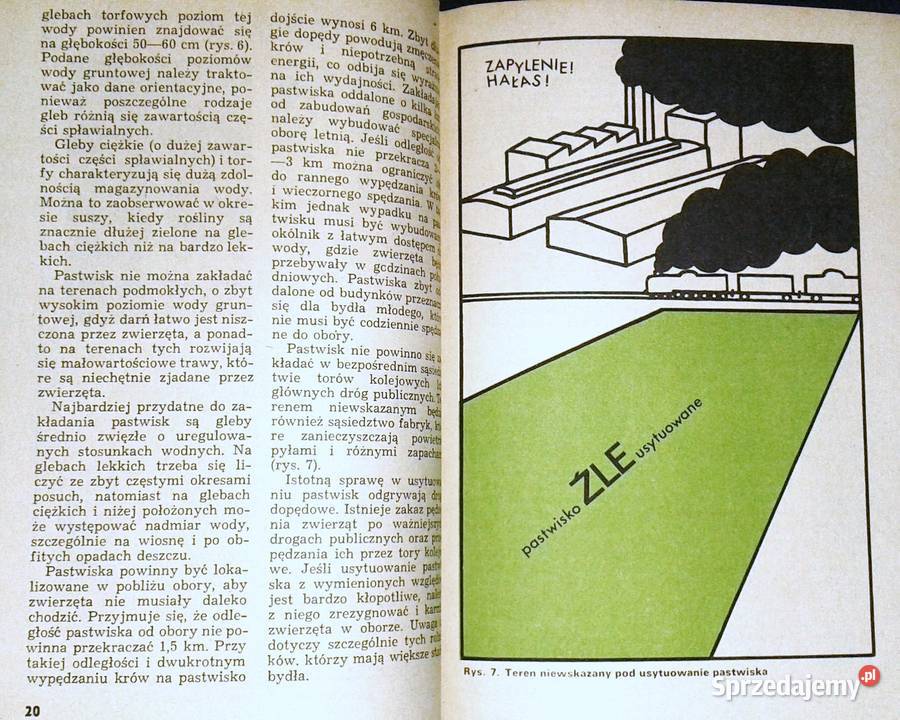 Kwaterowe użytkowanie pastwiska Zygmunt Chełm sprzedam
