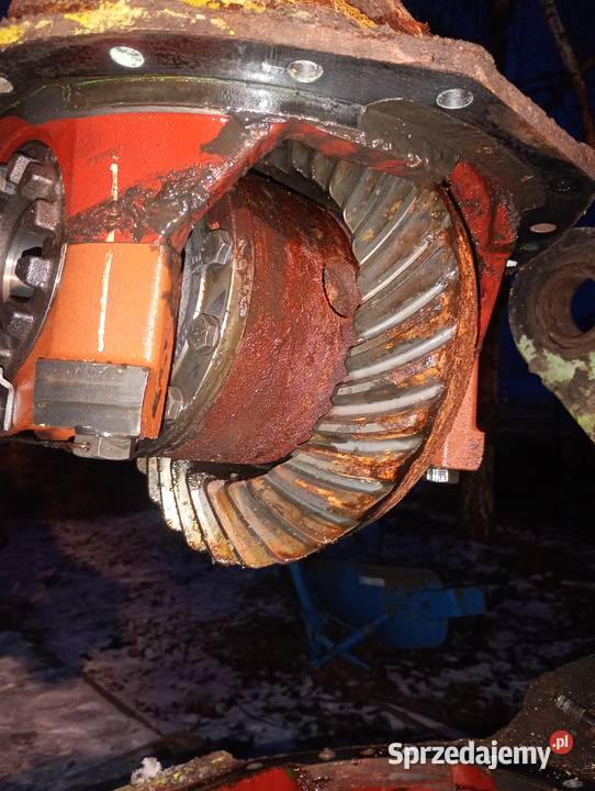 Dyfer dyferencjał wkład mostu ZF AP9HK 319 TEREX Turkowice