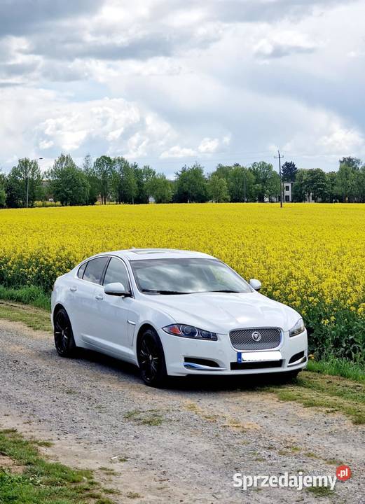 Jaguar XF 250 lift 2015 r 64 Chełm sprzedam