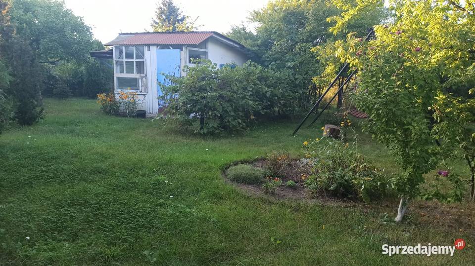 Działka ogrodowa Ogródek ROD Wrocław Sępolno rekreacyjna sprzedam