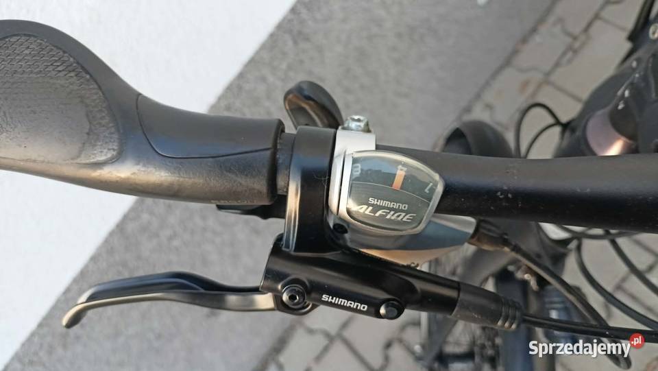 Rower elektryczny Gazelle Cityzen C8 Bosch 500W Elektryczne Kalna