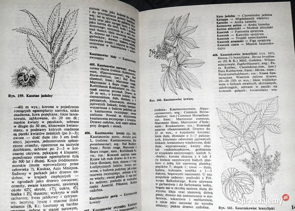 Słownik roślin użytkowych Zbigniew Podbielkowski Chełm
