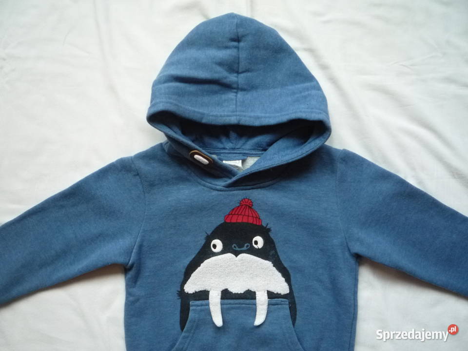 Cool Club 98104 Bluza niebieska zimowa z 4 lata+ Bluzy zachodniopomorskie Szczecin