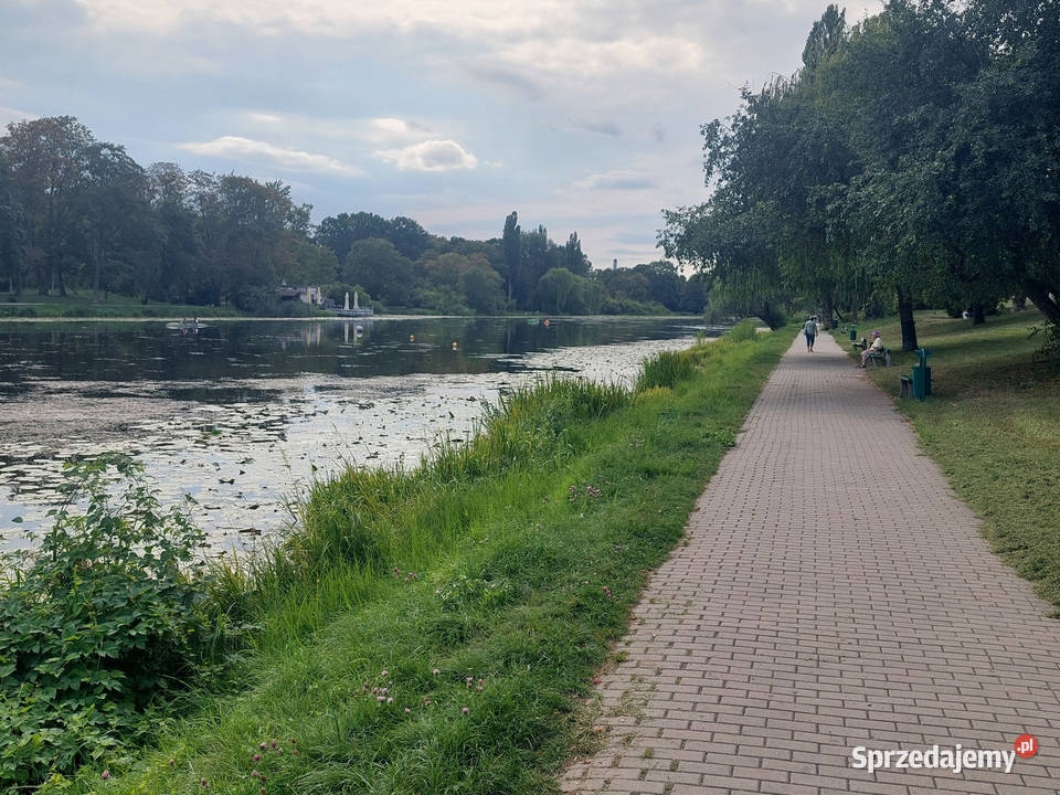 KAWALERKA PARY Z DUŻYM TARAREM tuż Parku 31m2 Wynajem Warszawa sprzedam