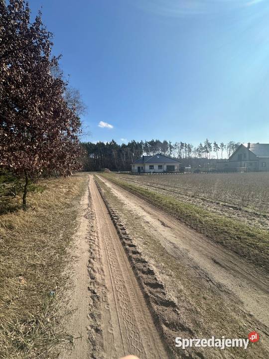 Działki lesie idealne miłośników natury Karniszewo