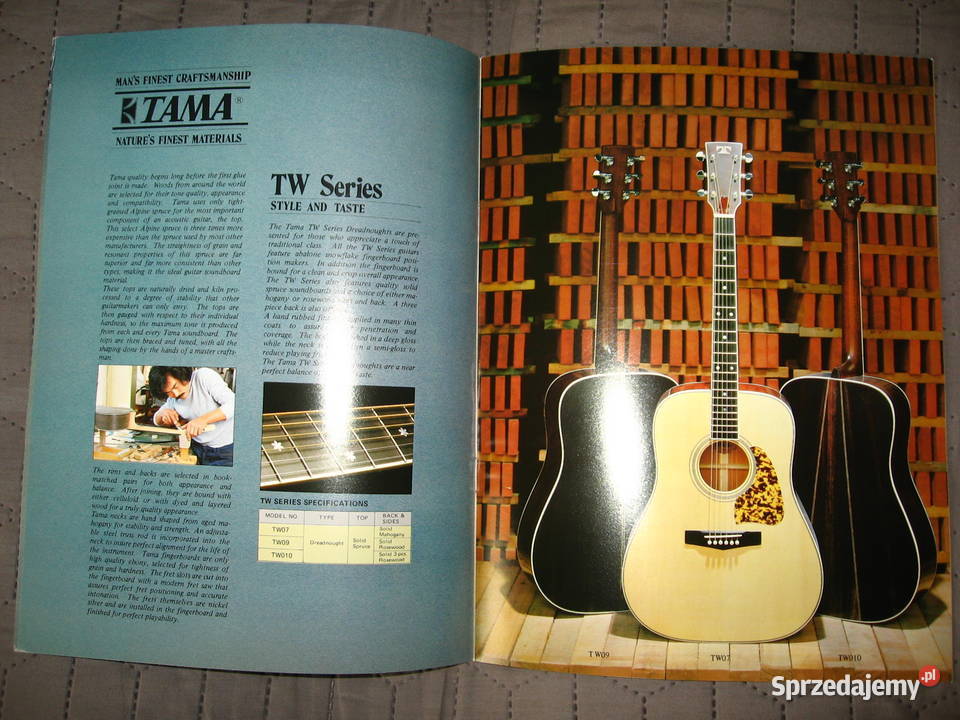 TAMAIbanez Acoustic Guitars katalog gitar Kępice sprzedam