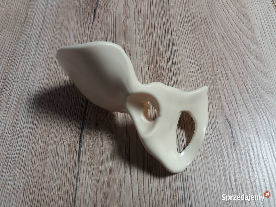 Tajemnice ludzkiego ciała kolekcja DeAgostini śląskie Cieszyn