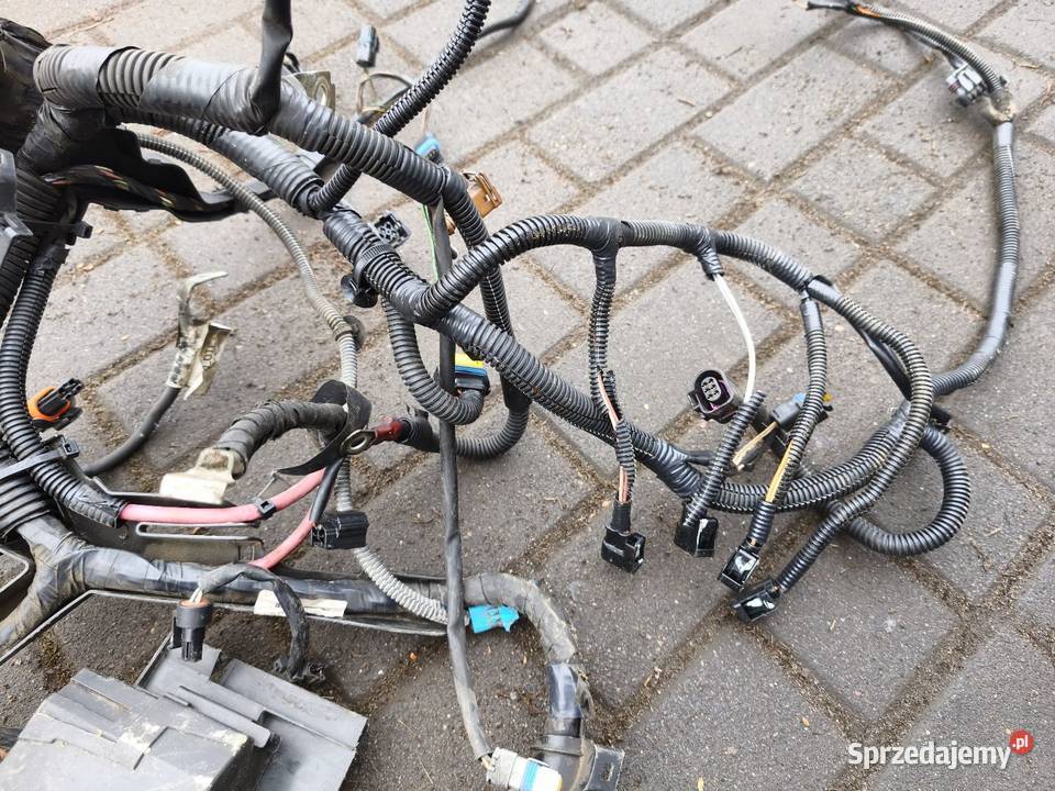 Wiązka elektrycznaskrzynka bezpieczników Renault łódzkie Poddębice