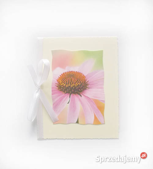pastelowa kartka z kwiatkiem różowy kwiatek Biuro sprzedam