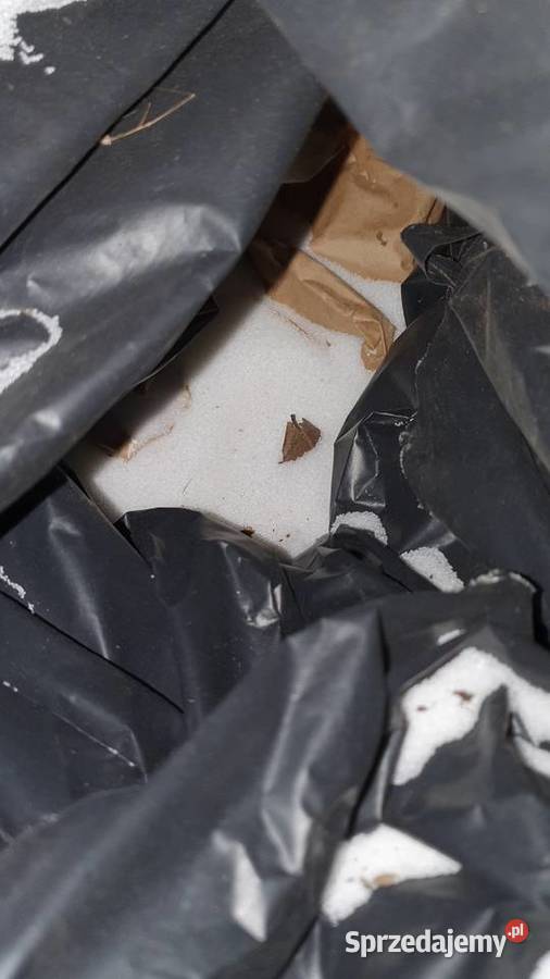 Polietylen plastikowy granulat miał cząstki Warszawa