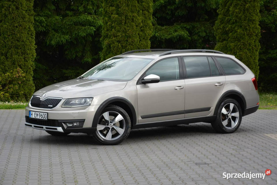 koda Octavia 20TDI184MScout Duża Navi Kamera napęd 4x4 Ostrów Mazowiecka