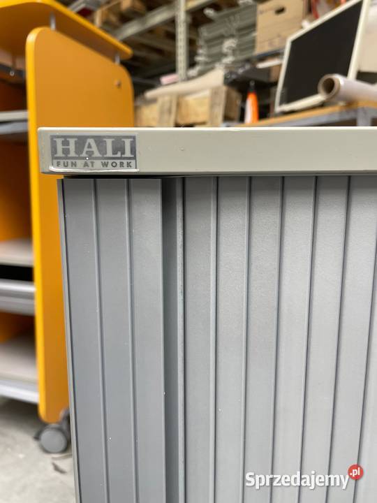 Szafa roletowa Hali szara RÓŻNE ROZMIARY Biznes i Przemysł