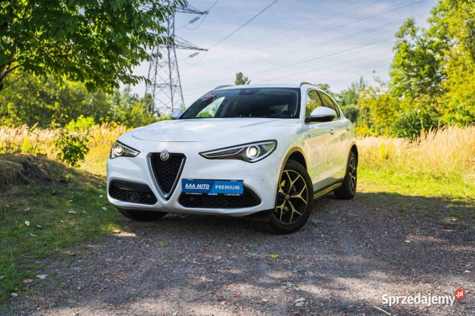 Alfa Romeo Stelvio 20 Turbo Q4 4/5 śląskie