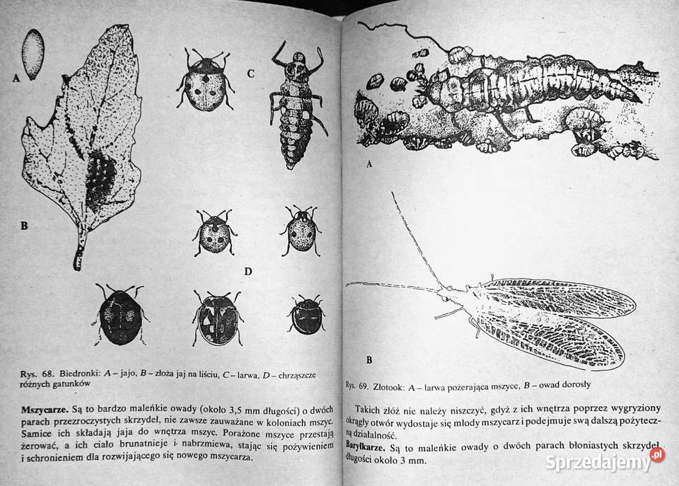 Działka moje hobby praca zbiorowa Książki i Podręczniki Chełm