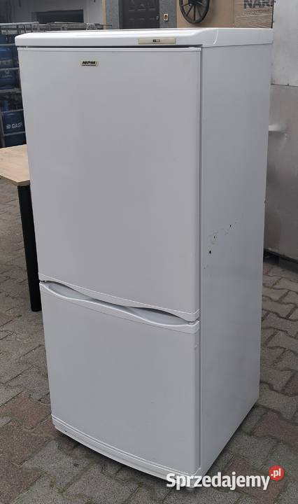 lodówkozamrażarka MPM Słupia Kapitulna