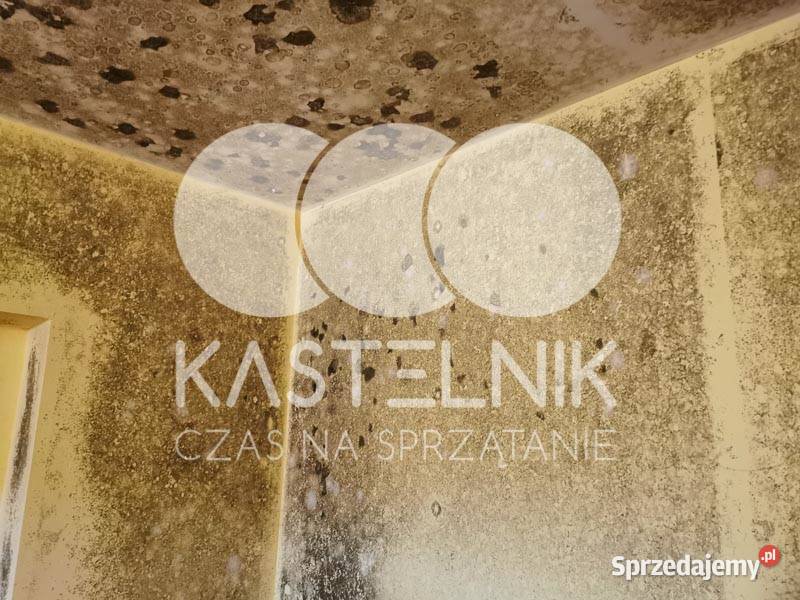Odgrzybianie ścian Stargard Kastelnik Usuwanie