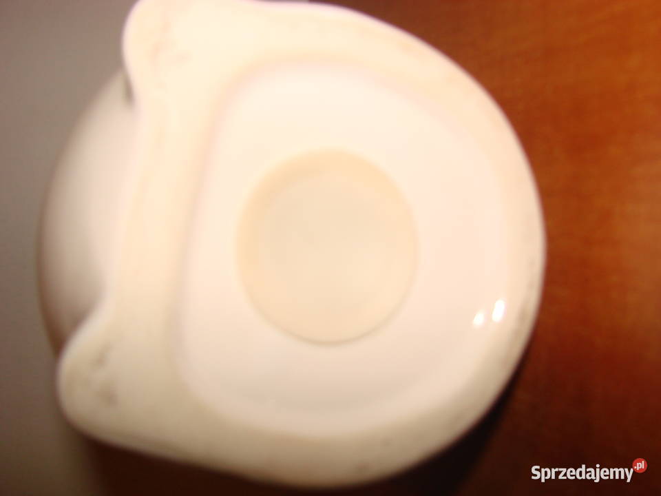 Kot ceramiczna skarbonka pomorskie Pruszcz Gdański