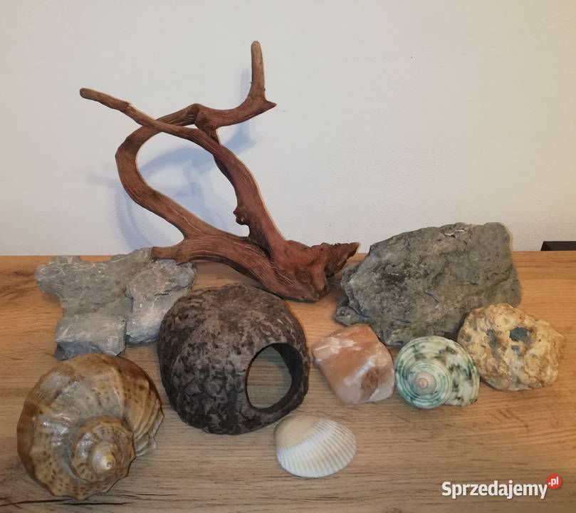 Dekoracje naturalne do akwarium Tanio sprzedam