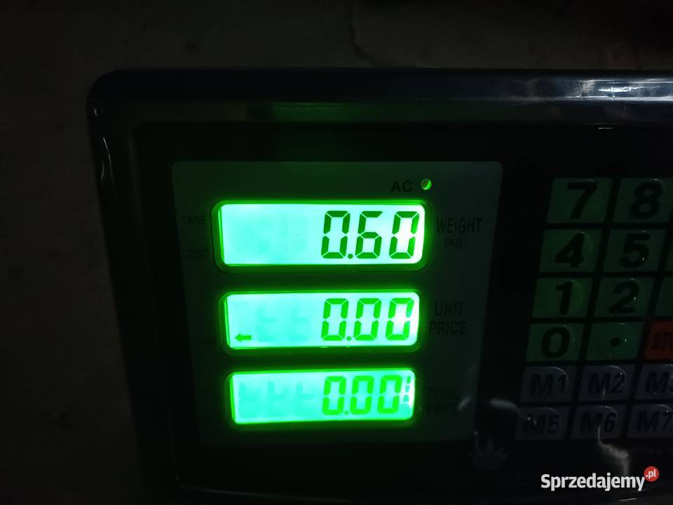 Toporek ciesielski stary Burzenin