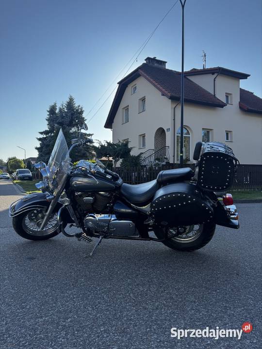 Suzuki vl800 volusia