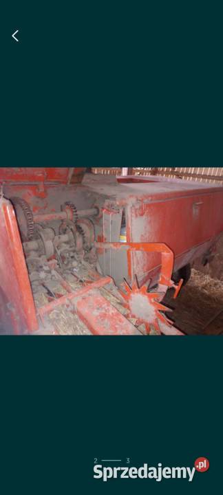 Sprzedam Prase Z 2241 Iwaniska