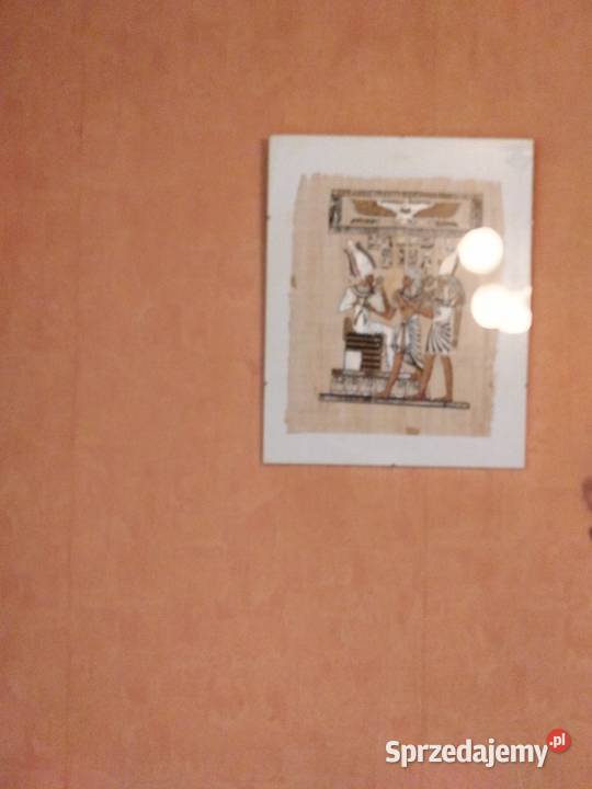 2 Papirusy w antyramie obraz Egipt 40x50 Zgierz sprzedam