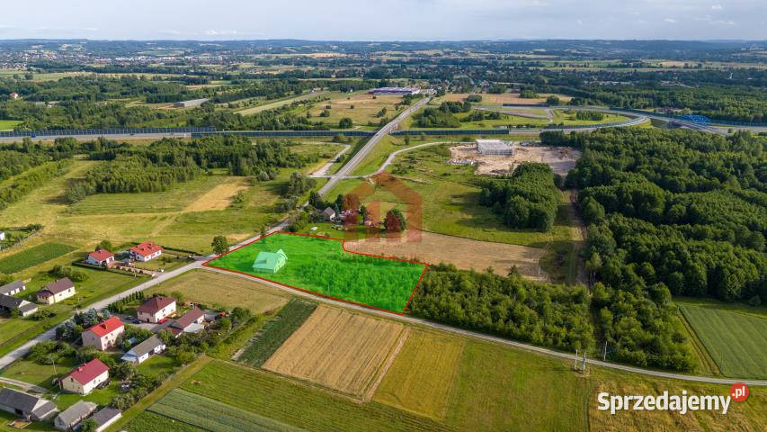 Grunt sprzedam 7000m2 Borek Wielki Króla
