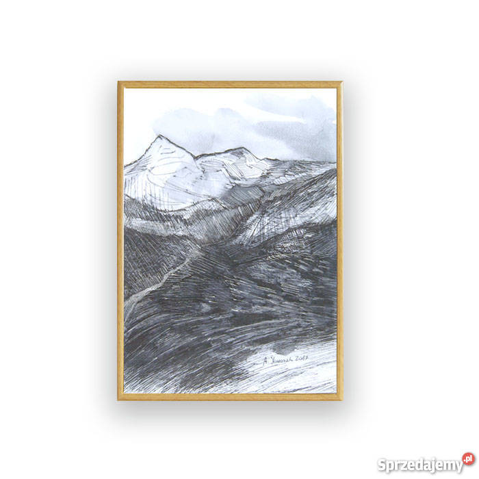 Biało czarny obrazek widok górskigóry rysunek Dekoracje i ozdoby Katowice sprzedam