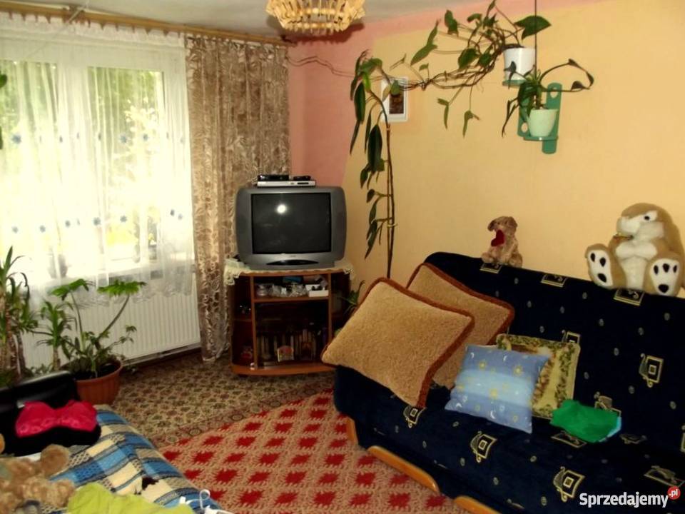 Siedlisko pod Lublinem gm Niemce w Dysie Dys